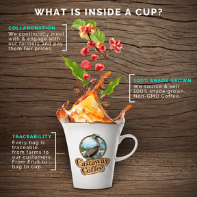 Bourbon Coffee Starter Pack ( 3 x 12oz Oak & Eden Bourbon Infused Coffee)